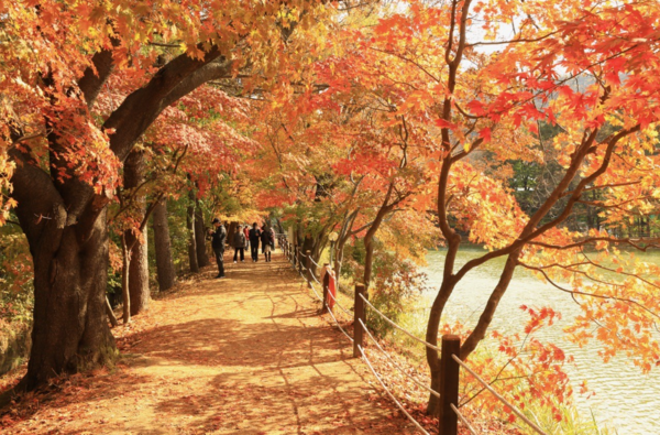 자료제공 ㅣ 가평군 공보팀